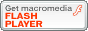 scarica FLASH  PLAYER